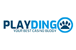 Playdingo