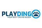 Playdingo